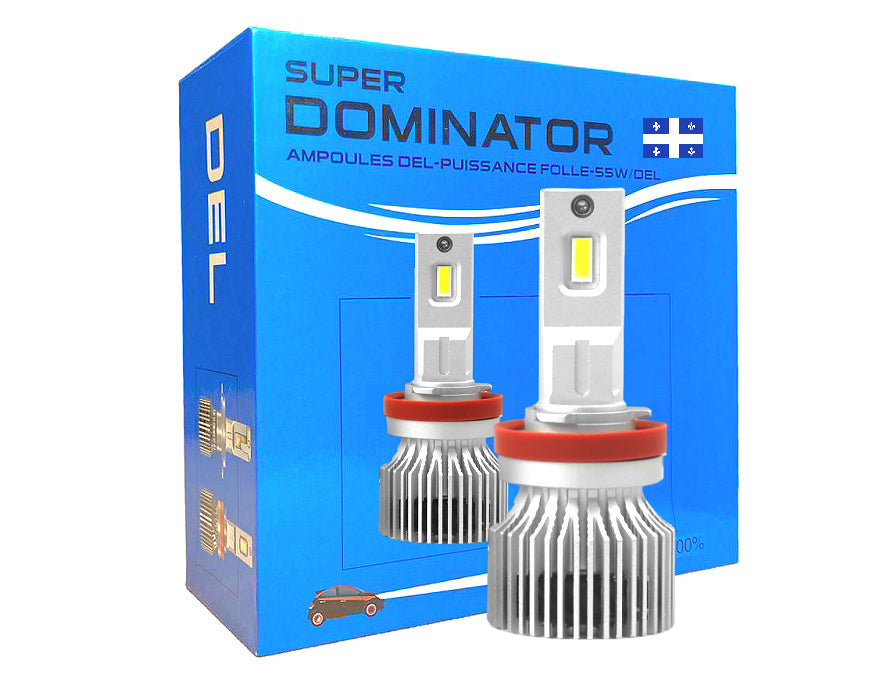 Kit LED RAM DT (NEW GEN) 1500 2019-2020-2021-2022-2023-2024 (pas Classic)